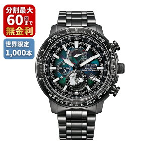 CITIZEN PROMASTER �v���}�X�^�[ LAYERS of TIME ���C���[�Y�I�u�^�C�� ���E����10,000�{ BY3005-56E