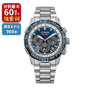 yő100|CgobN Im1/2 5zCITIZEN PROMASTER v}X^[ SKYV[Y Blue Impulse 900{ CA4665-59L