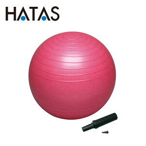 バランスボール ピン その他のアウトドア用品の人気商品 通販 価格比較 価格 Com