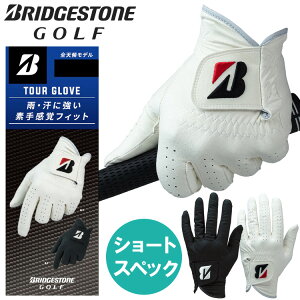 �y���[���֑Ή��z�u���a�X�g���S���t TOUR GLOVE �l�H��v �����Y �S���t�O���[�u GL2602-S 2026���f�� ���{���K�i