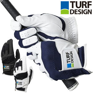 y11/5聚Si|Cg5{zy[֑z^[tfUC St Y p StO[u TDGL-2170