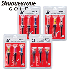 y[֑ΉzuaXg St }OlbgeB[ GAGMGT