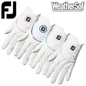 y[֑ΉztbgWC St EFU[\t fB[X StO[u E/p FGWFW23 {Ki