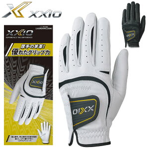 y[֑Ήz[NVI St Y StO[u E(p) GGG-X019