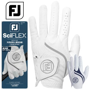 y[֑ΉztbgWC TCtbNX Y StO[u FGSF25 2025f {Ki