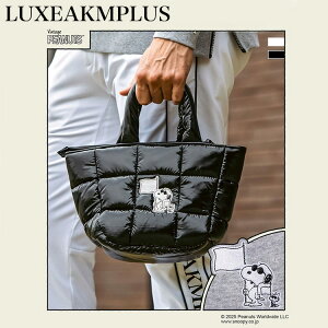 yX݌ɁzNXGCPCGvX St Xk[s[R{[V pfbh~jg[gobO 2025H~ LAZ-25011