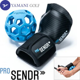 【あす楽対応】ヤマニ ゴルフ ProSENDR プロセンダー TRMZNT51 スイング練習器