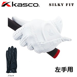 y[֑Ήz LXR St VL[tBbg O[u Y Ў Ep GF-17251