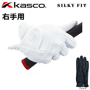 y[֑Ήz LXR St VL[tBbg O[u Y Ў Ep GF-17251R