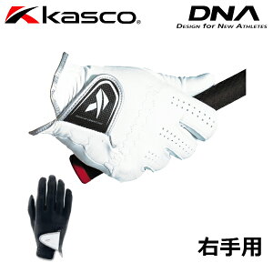 y[֑Ήz LXR St DNA O[u Y Ў Ep GF-2012R