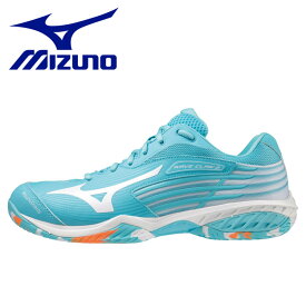 ミズノ MIZUNO ウエーブクロー2 FIT(バドミントン) 71GA211711 メンズ レディース シューズ