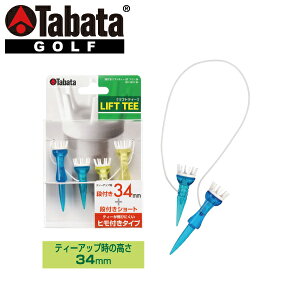 y11/5聚Si|Cg5{zyX݌Ɂzy[֑Ήz^o^ St ittgeB[ STcC 34mm GV-1414-34