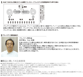 【著名人多数愛用】【最大限の力を引き出す】【あす楽対応】ZAAPプレミアムネックレス