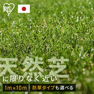 人工芝 1m×10m ロール アイリスオーヤマ 防草シート一体型 芝生 耐久性 防カビ機能付 簡単設置 庭 ベラ…