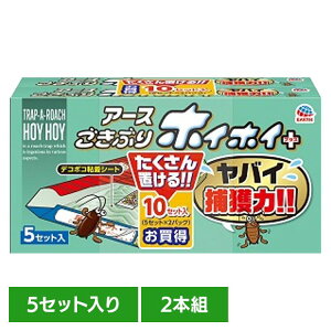 A[X ߊl [ ԂzCzC+ 5Zbg×2{g SLu E A[X S SV[g u ͗U EARTH