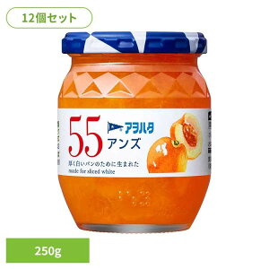 y12Zbgz55 AY 250G W  ʎ AIn^ r 55 250g  t[c ʕ An^