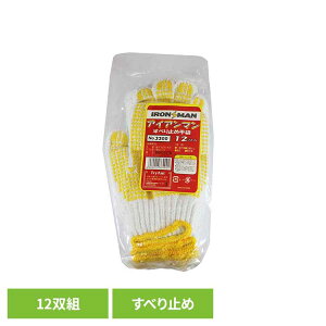 ACAp[~ߎ܁iACA}j 12og 3300R ~ߌR 12o F Obv ׂ~ ĂԂ Ɨp L^}