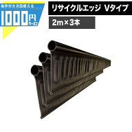 【8/10は確率1/2!最大100%Pキャッシュバック】【最大2000円クーポン11日1:59迄】1000円クーポン付【1セッ…