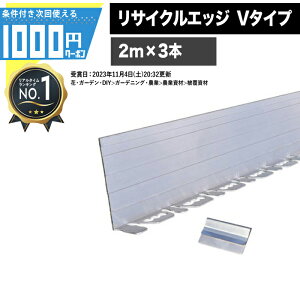 1000~N[|ty1Zbg/6mzUo[ vebNX TCNGbWO 100mm×2m V^Cv A~GbW100 3{ titytŌlwz@l艿i