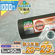 【8/10は当選確率2分の1!最大100%ポイントキャッシュバック】【最大2000円クーポン＋最大P15倍11日1:59迄…