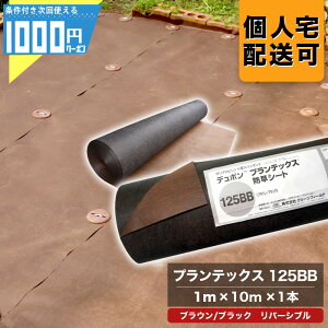 1000~N[|tlw Uo[ vebNX 125BB 1m×10m 1{ hV[g Gh~  V[g @ _ ϋv  uE ubN o[Vu PT-125BB1.0yGFz