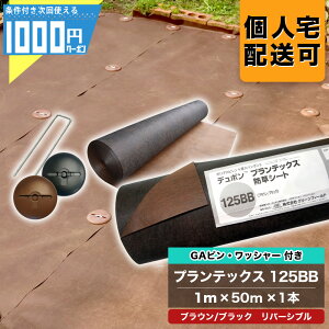 y10/17 9:59ő2,000~Itz1000~N[|t Uo[ 125BB 1m×50m 1{ {GA150mms{GAWh[^bV[e50{ hV[gV[g  125 ubN uE O[tB[h PT-12