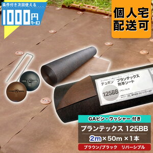 1000~N[|t Uo[ 125BB 2m×50m 1{ {GA150mms{GAWh[^bV[e100{ hV[gV[g  125 ubN uE O[tB[h PT-125BB2.0