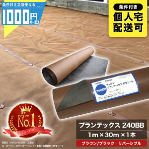 [yV1ʎ] 1000~N[|t Uo[ vebNX 240BB 1m×30m 1{ hV[g uE ubN PT-240BB1.0yGFzytŌlwz@l艿i