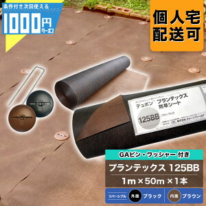 1000~N[|t Uo[ 125BB 1m×50m 1{ {GA150mms{GAWh[^bV[e50{ hV[gV[g  125 ubN uE O[tB[h PT-125BB1.0