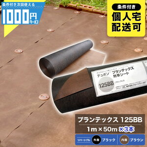 y11/15͓Im21!ő100%PLbVobNzUo[ vebNX 125BB 1m×50m y3{/150ĕz hV[g f| Gh~  V[g _  125uE ubN 12