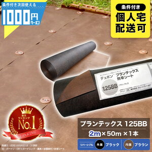 y11/1͓Im21!ő100%|CgLbVobNz[yV1ʎ] 1000~N[|t Uo[ vebNX 125BB 2m×50m 1{ hV[gV[g uE ubN PT-125BB2.0yGFz