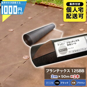 y11/1͓Im21!ő100%|CgLbVobNzUo[ vebNX 125BB 2m×50m y2{/200ĕz hV[g f| V[g 125uE ubN 125BB   PT-125BB2.0