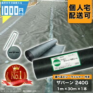 【7/10は確率1/2!最大100%Pキャッシュバック】【最大2000円OFFクーポン11日1:59迄】[楽天1位受賞] 1000円…