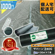 【9/15は確率2分の1!最大100%ポイントキャッシュバック】[楽天1位受賞]1000円クーポン付 ザバーン 240Gグ…