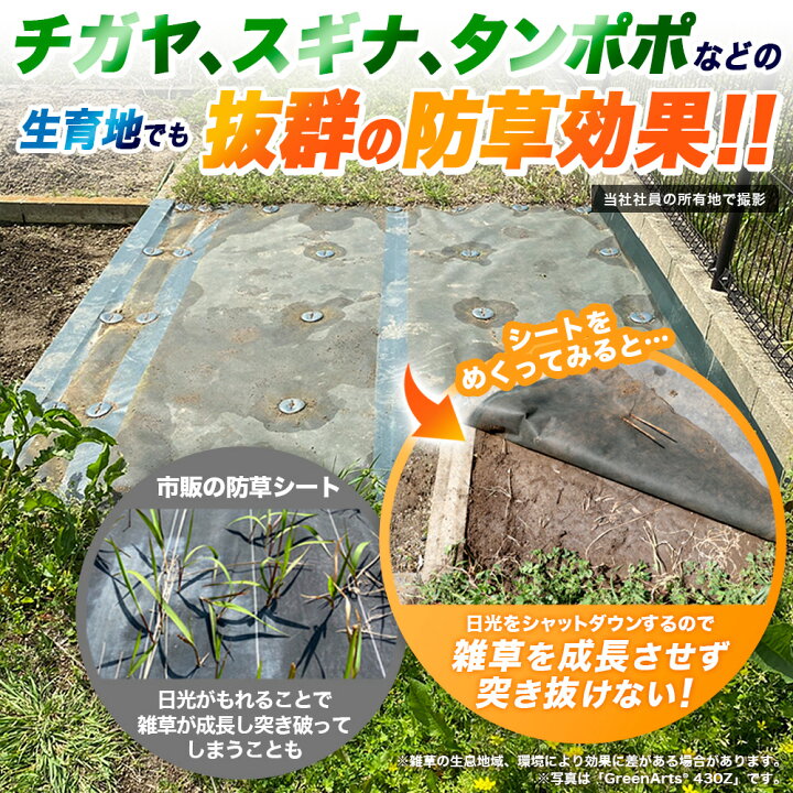 楽天市場】【7/20は確率1/2!最大100%Pｷｬｯｼｭﾊﾞｯｸ】【最大2000円OFFｸｰﾎﾟﾝ 