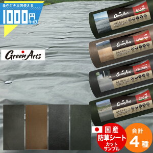 y10/4 20`ő2,000~Itz1000~N[|t [ Y 4Tv] 550JP+430JP/BW+430JP/BK+330JP] hV[g Tv  h V[g Jbg  O[  uE  G΍ _  