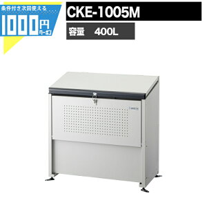 y11/10͓Im21!ő100%|CgLbVobNz1000~N[|t N[XgbJ[ CKEM CKE1005M Ɩp S~W DAIKEN _CP S~u g