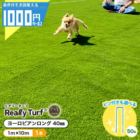 【24日20時～最大2000円OFFクーポン】【1/25は確率2分の1!最大100%Pキャッシュバック】[楽天1位受賞] 耐久力10年以上 リアリーターフ ヨーロピアンロング 1m×10m 1本 人工芝 芝生 高級人工芝 高品質 RET 40FR-1-10ERP 【GF】【条件付で個人購入可】■法人限定価格