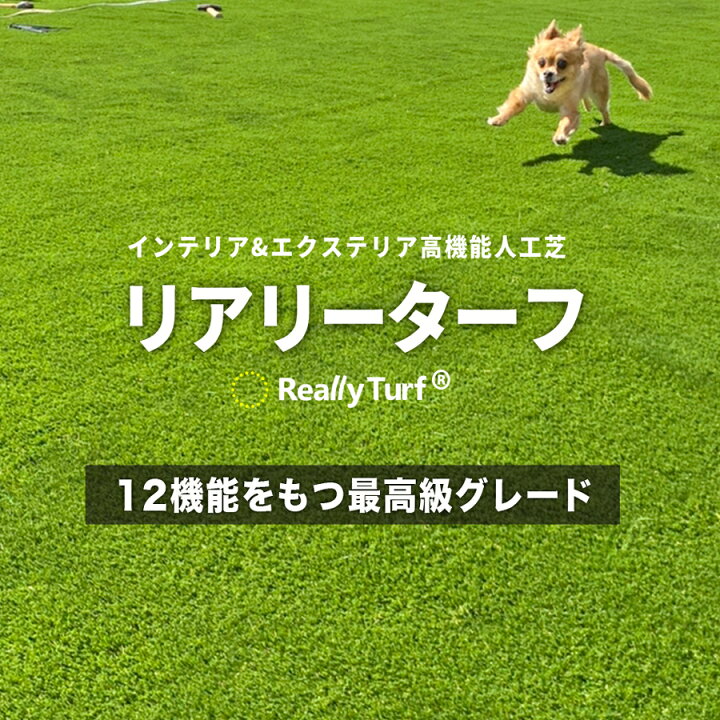 楽天市場】[クーポン付][楽天1位受賞]耐久力10年以上 リアリーターフ 