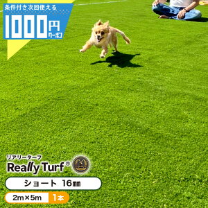 y11/10͓Im21!ő100%|CgLbVobNz[N[|t][yV1ʎ]ϋv10Nȏ A[^[t V[g 2m×5m 1{ lH Ő lH i O[tB[h 