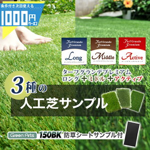 1000~N[|t [ lH 3 Tv ] lH ^[tOfO35mm + ~h25mm + ANeBu16mm+ hV[g 150BK t Jbg Tv 10×14cm  lH3{hV[g1