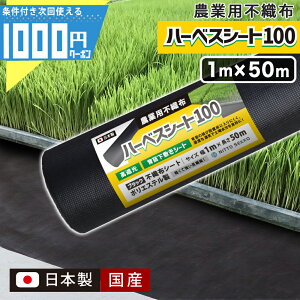 N[|t -@l艿i-Y { |GXe sDz n[xXV[g100 1m×50m ubN c ͔| m50ān _pV[g  u Ռ _ƗpV[g