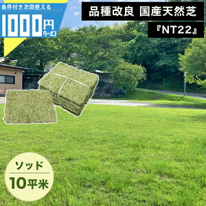 1000~N[|t[ʏ֏o] NITTOSEKKO VR NT22 \bh 10ĕ VR ȊǗ  St Ǎ Ő  i Y VRŐ}bg VRŐ {Y