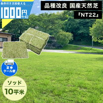 楽天市場】芝生 tm9 1平米の通販
