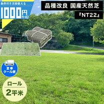 楽天市場】高麗芝 ロールの通販