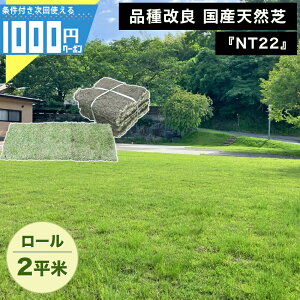 1000~N[|t[ʏ֏o] NITTOSEKKO VR NT22 [ 2ĕ VR ȊǗ  St Ǎ Ő  i Y VRŐ}bg VRŐ {Y