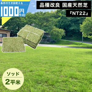 1000~N[|t[ʏ֏o] NITTOSEKKO VR NT22 \bh 2ĕ VR ȊǗ  St Ǎ Ő  i Y VRŐ}bg VRŐ {Y