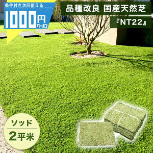 苗 芝生 高麗芝の人気商品 通販 価格比較 価格 Com