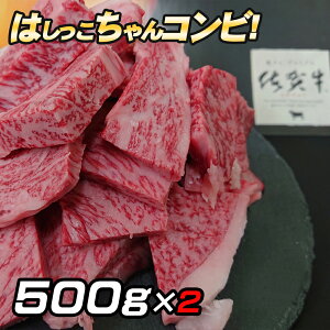 ͂ 󂠂 Mtg 500g×2 ꋍ ͂ ē Zbg lC io[ [X Jr Ă S BBQ o[xL[ XCX Ri ƒp p   a