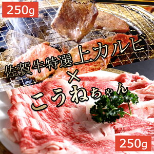  Mtg Ă ē Zbg Jr IJr  250g Y јaA5 ꋍ  REl uXP ؂藎Ƃ500g  Ԃ  ē Ă S Mtg v